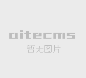 T型斗式提升機(jī)